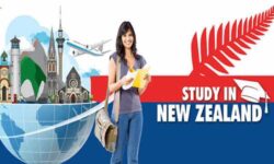 Các điều kiện du học New Zealand bạn nên biết
