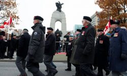 Remembrance day là gì? Ngày tưởng nhớ và biết ơn của người dân Canada