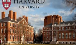Trường đại học Harvard University, Mỹ