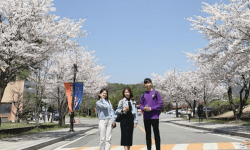 Du học Hàn Quốc 2022 mới nhất