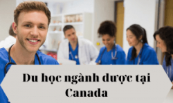 Du học ngành dược tại Canada – cơ hội việc làm cao￼