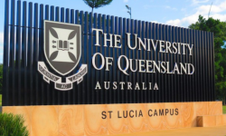 Trường đại học Queensland 